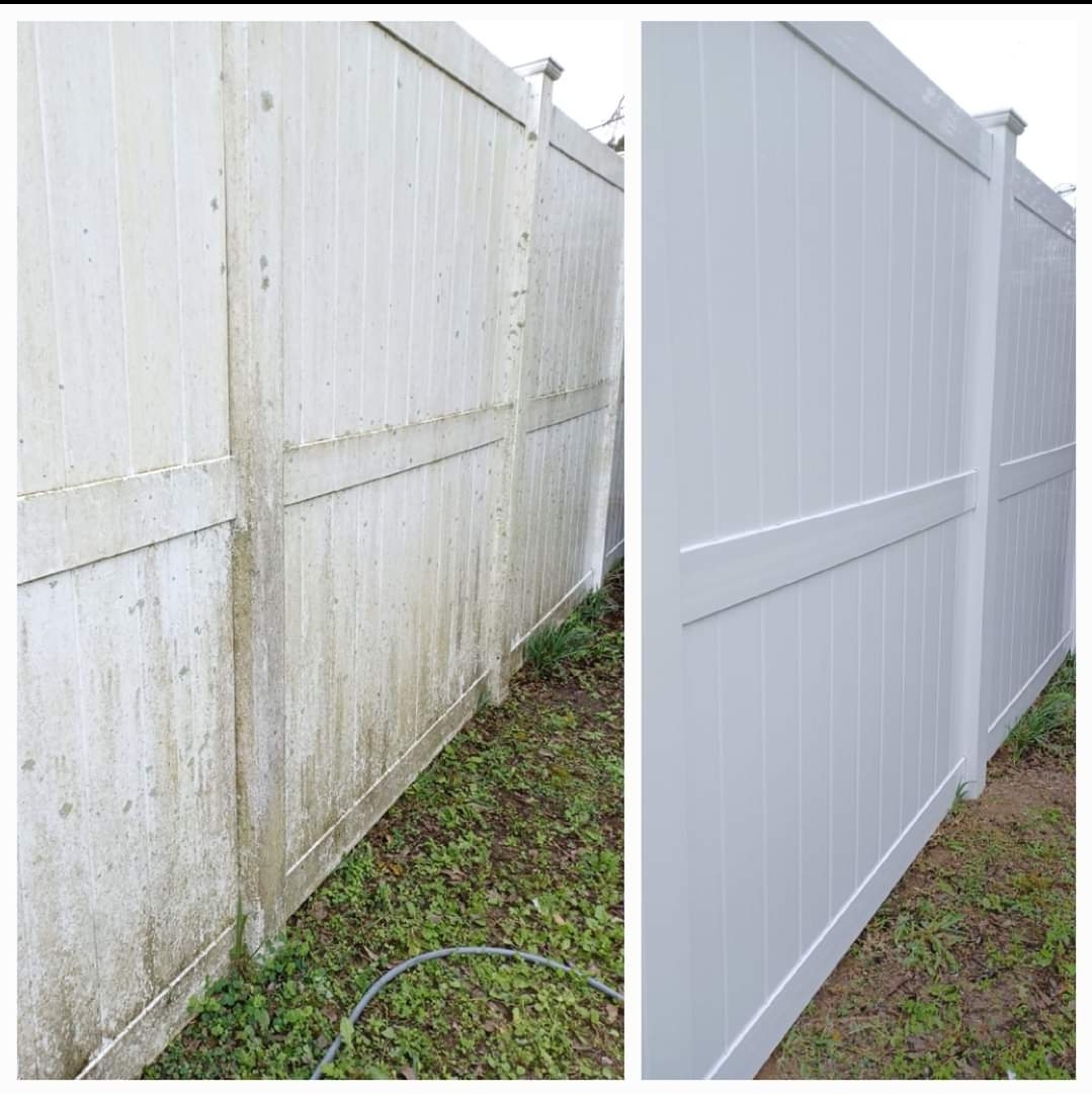 Privacy fence cleaning